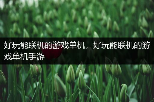 好玩能联机的游戏单机，好玩能联机的游戏单机手游