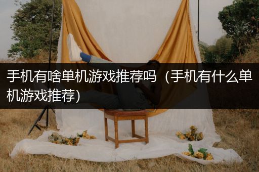 手机有啥单机游戏推荐吗（手机有什么单机游戏推荐）