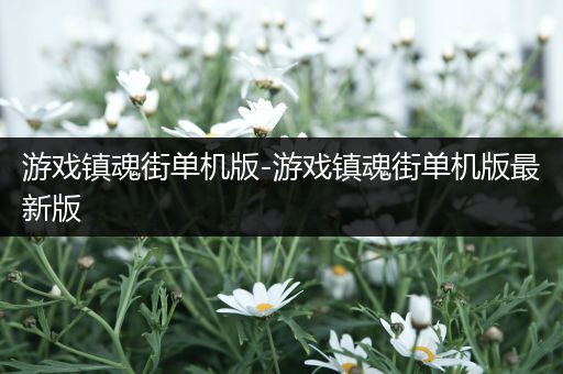 游戏镇魂街单机版-游戏镇魂街单机版最新版