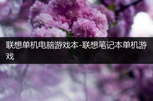 联想单机电脑游戏本-联想笔记本单机游戏