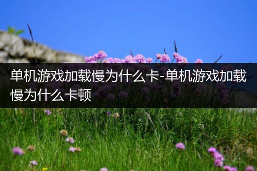 单机游戏加载慢为什么卡-单机游戏加载慢为什么卡顿