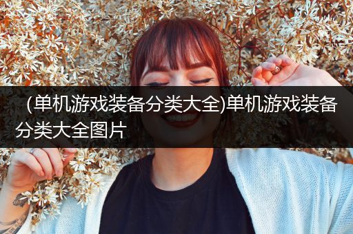 （单机游戏装备分类大全)单机游戏装备分类大全图片