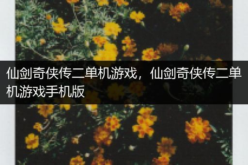 仙剑奇侠传二单机游戏，仙剑奇侠传二单机游戏手机版