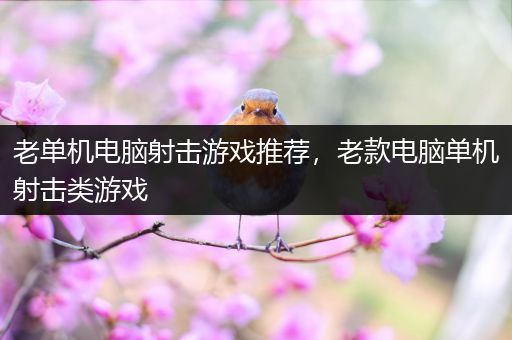 老单机电脑射击游戏推荐，老款电脑单机射击类游戏
