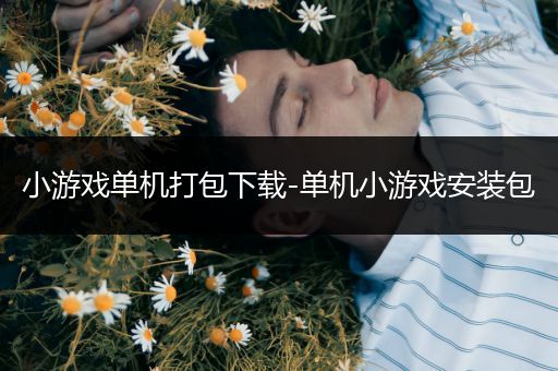 小游戏单机打包下载-单机小游戏安装包