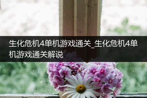 生化危机4单机游戏通关_生化危机4单机游戏通关解说
