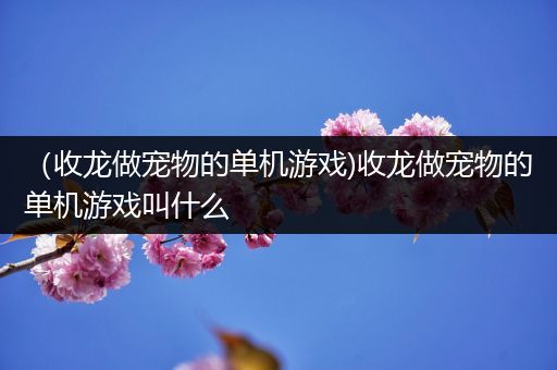 （收龙做宠物的单机游戏)收龙做宠物的单机游戏叫什么