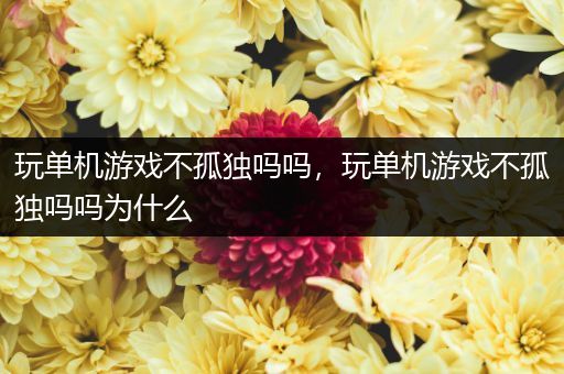 玩单机游戏不孤独吗吗，玩单机游戏不孤独吗吗为什么