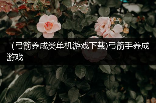 （弓箭养成类单机游戏下载)弓箭手养成游戏