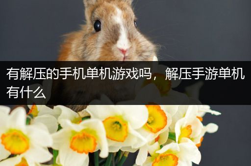 有解压的手机单机游戏吗，解压手游单机有什么