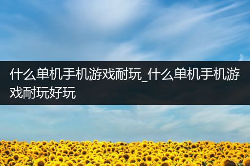 什么单机手机游戏耐玩_什么单机手机游戏耐玩好玩