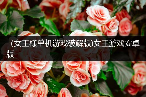 （女王様单机游戏破解版)女王游戏安卓版
