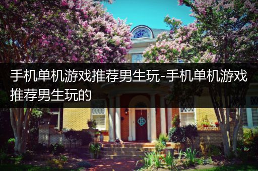 手机单机游戏推荐男生玩-手机单机游戏推荐男生玩的