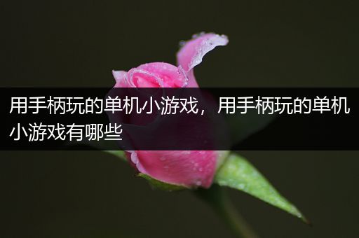 用手柄玩的单机小游戏，用手柄玩的单机小游戏有哪些