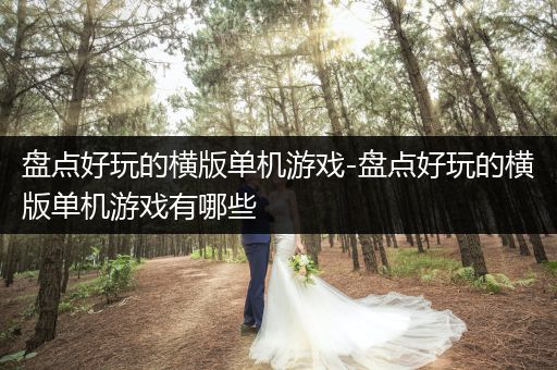 盘点好玩的横版单机游戏-盘点好玩的横版单机游戏有哪些