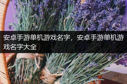 安卓手游单机游戏名字，安卓手游单机游戏名字大全