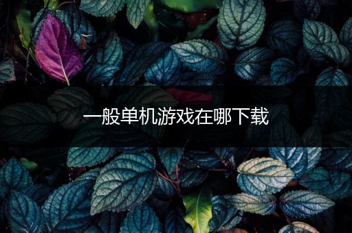 一般单机游戏在哪下载
