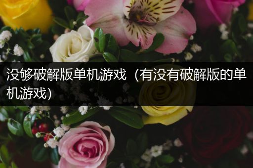 没够破解版单机游戏（有没有破解版的单机游戏）