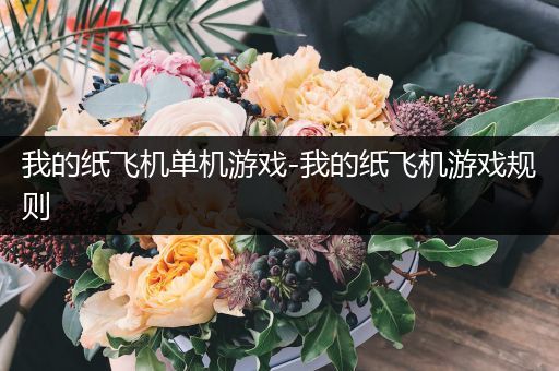 我的纸飞机单机游戏-我的纸飞机游戏规则