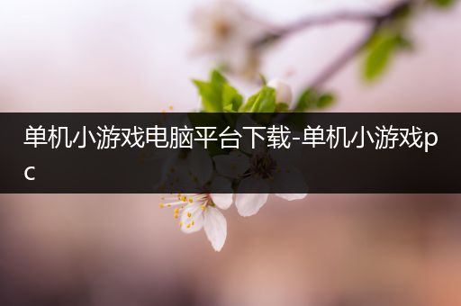 单机小游戏电脑平台下载-单机小游戏pc