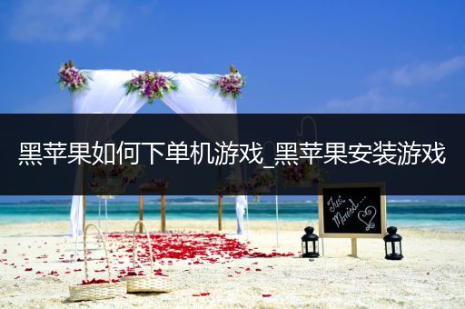 黑苹果如何下单机游戏_黑苹果安装游戏