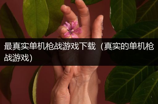 最真实单机枪战游戏下载（真实的单机枪战游戏）