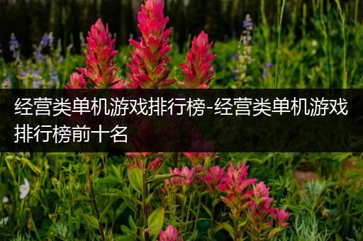 经营类单机游戏排行榜-经营类单机游戏排行榜前十名