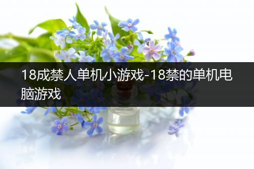 18成禁人单机小游戏-18禁的单机电脑游戏