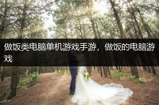 做饭类电脑单机游戏手游，做饭的电脑游戏