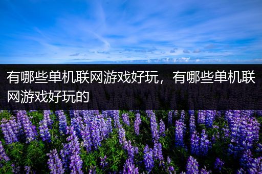 有哪些单机联网游戏好玩，有哪些单机联网游戏好玩的