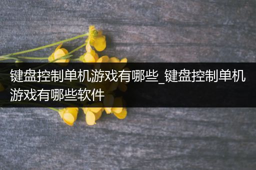 键盘控制单机游戏有哪些_键盘控制单机游戏有哪些软件