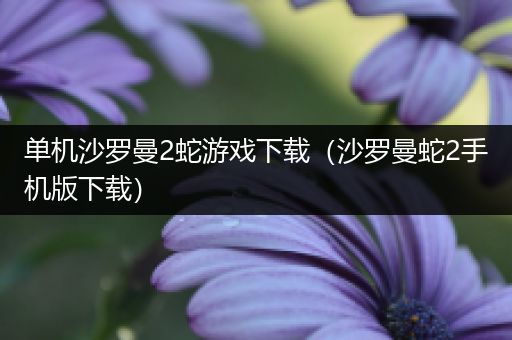 单机沙罗曼2蛇游戏下载（沙罗曼蛇2手机版下载）