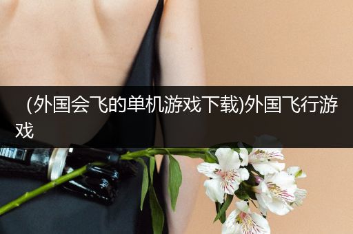 （外国会飞的单机游戏下载)外国飞行游戏