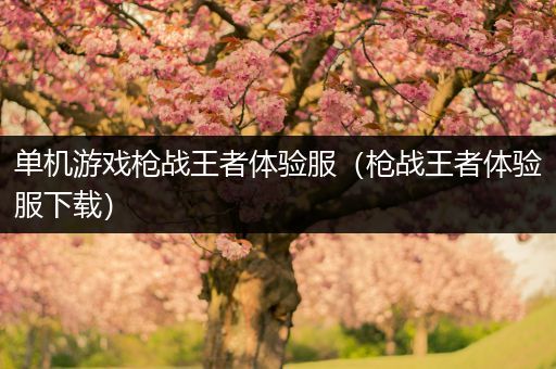 单机游戏枪战王者体验服（枪战王者体验服下载）