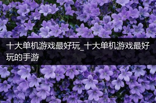 十大单机游戏最好玩_十大单机游戏最好玩的手游