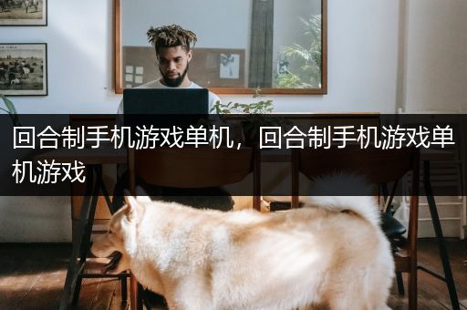 回合制手机游戏单机，回合制手机游戏单机游戏