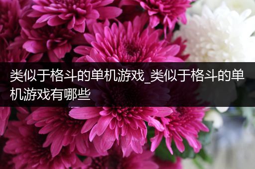 类似于格斗的单机游戏_类似于格斗的单机游戏有哪些