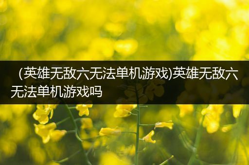 （英雄无敌六无法单机游戏)英雄无敌六无法单机游戏吗