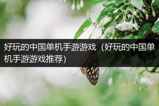 好玩的中国单机手游游戏（好玩的中国单机手游游戏推荐）