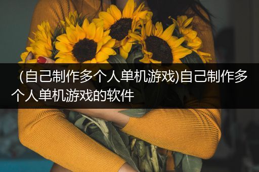 （自己制作多个人单机游戏)自己制作多个人单机游戏的软件