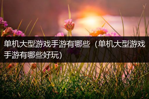 单机大型游戏手游有哪些（单机大型游戏手游有哪些好玩）