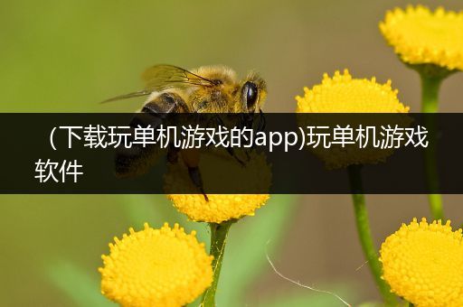 （下载玩单机游戏的app)玩单机游戏软件