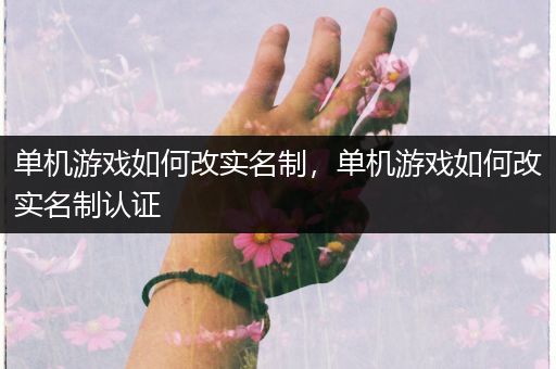 单机游戏如何改实名制，单机游戏如何改实名制认证