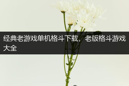 经典老游戏单机格斗下载，老版格斗游戏大全