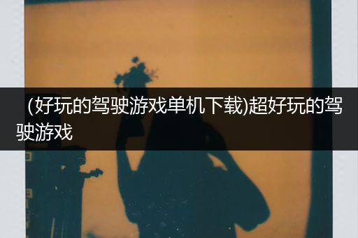 （好玩的驾驶游戏单机下载)超好玩的驾驶游戏