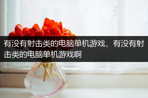 有没有射击类的电脑单机游戏，有没有射击类的电脑单机游戏啊