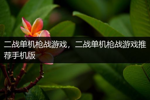 二战单机枪战游戏，二战单机枪战游戏推荐手机版