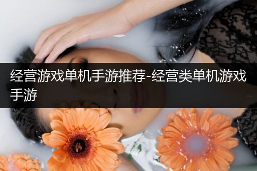 经营游戏单机手游推荐-经营类单机游戏手游