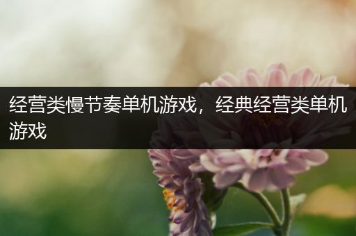 经营类慢节奏单机游戏，经典经营类单机游戏