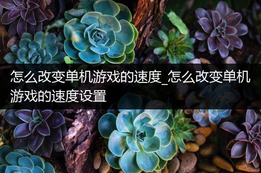 怎么改变单机游戏的速度_怎么改变单机游戏的速度设置